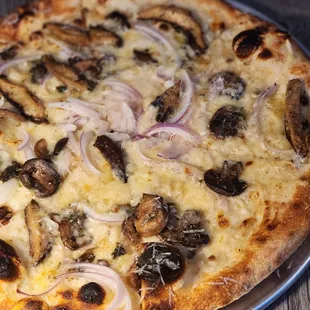 Pizza Funghi