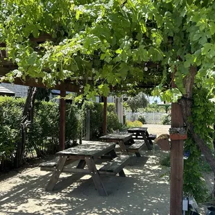 Outdoor wine tasting spot