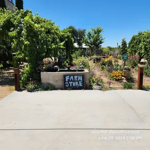 Check out the farm store for fresh produce, flowers, lavender bundles, canned jams &amp; sauces and many other items made by local vendors.