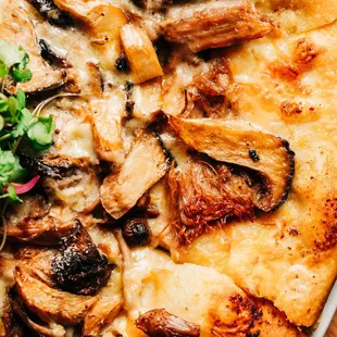 a closeup of a mushroom pizza