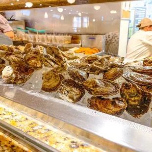 Oyster bar