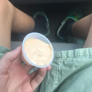 Fries dipping sauce