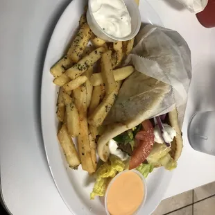 Gryo sandwich and fries.