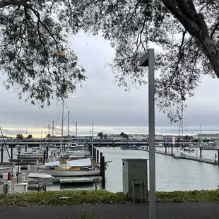 Our beautiful view during family dinner! First visit. 11.5.22