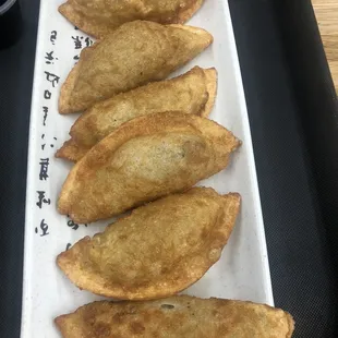 Fried Dumplings