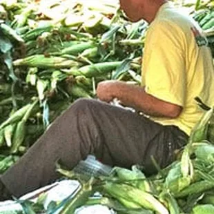 a man sitting on a pile of corn