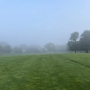 #3 on a foggy morning!