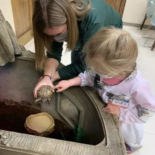 Rachel showing a box turtle to a budding naturalist.