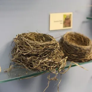 Nests