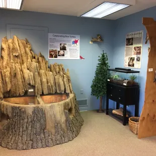 Box turtle exhibit