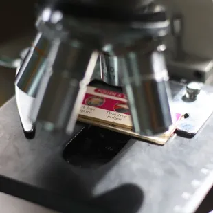 Look at pollen up-close