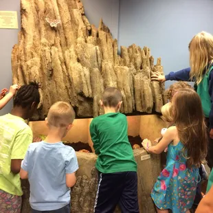 Children exploring the new exhibit, which was unveiled at the Nature Center's 15th Anniversary in 2017.