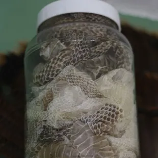 Snake skins