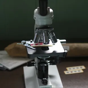 Look at things under a microscope