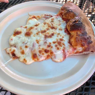 Cheese pizza slice