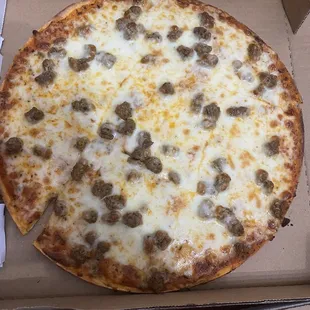 12&quot; One topping with Italian sausage