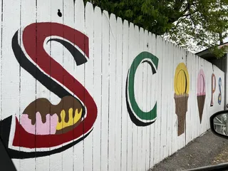 Scoops