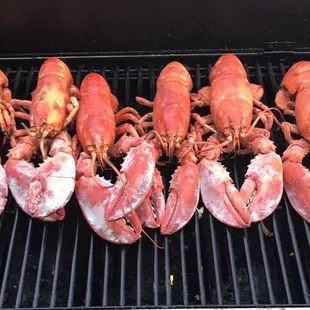 Got Lobster?