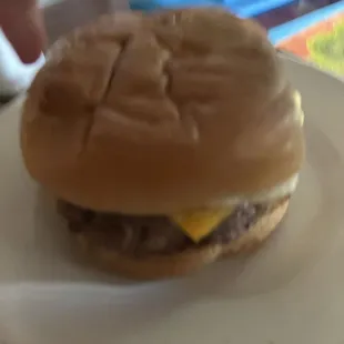 Plain cheeseburger
