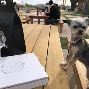 Coco even gets some pizza!