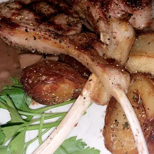Lamb Chops
