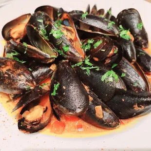 Steamed Mussels