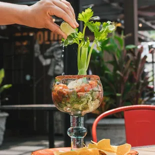 Shrimp Cocktail