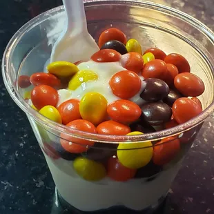 Vanilla ice cream with reeses pieces