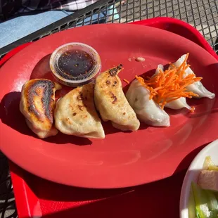 Vegan and non vegan dumplings