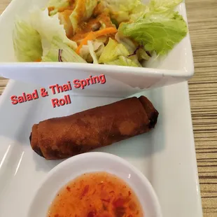 Lunch Special comes with Salad &amp; Thai Spring Roll