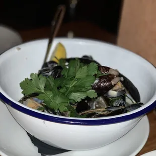 oysters, oysters and mussels, shellfish, food, mussels