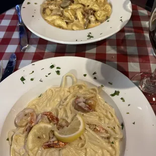 Shrimp Al Freddo