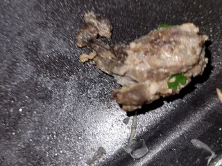 El Taco Loco Birrieria