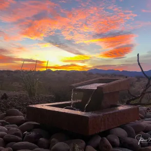 Love our Zona fountain.