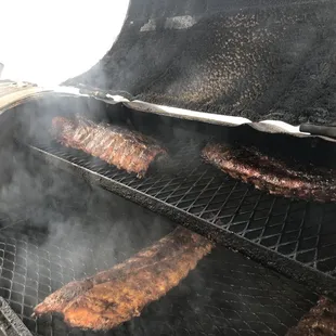The ribs