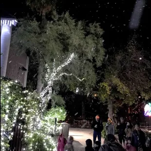 it felt like it was cold enough for real snow, but the fake snow was a nice touch.