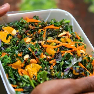 No. 7 (VEGAN)
 Sweet potatoes, kale, shredded carrots, apples, cranberries, coconut, roasted almonds, Zookz voodoo dressing.