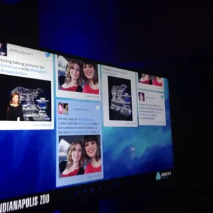 We&apos;ve already made it to the big screen! @yelpindy @jobrenneman #indyzoolala