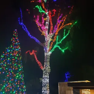 merry &amp; bright 1/15/22