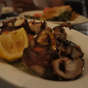 Octopus
