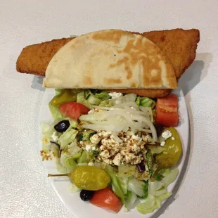 Fish dinner with salad