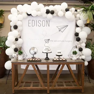 Another fabulous Dohl 1st Birthday Party!