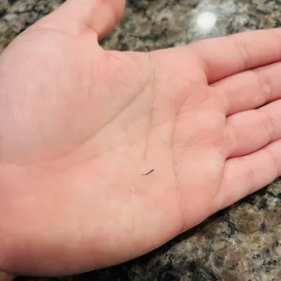 Bug leg in Hibachi Noodle