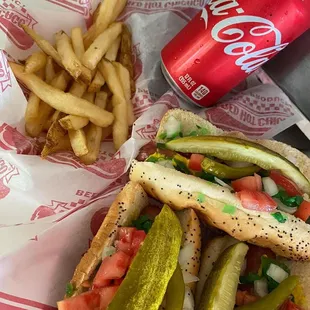 a hot dog and french fries