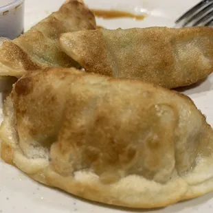 Pan fried A5. Pot Stickers