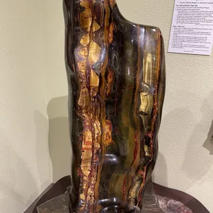 Petrified wood-beautiful