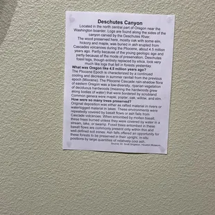 Information on some of the exhibits