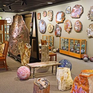 Specimens of over 1,800 beautiful petrified wood, fossils and minerals.  Stunning!