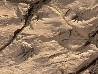 Las Cruces Museum of Nature & Science