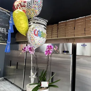 Celebrating the grand opening!